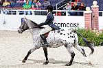 WIHS3-10-31-10-Cl193-LocHtrFinals-Pny-0183-WildCardCody-SarahAnderson-DDeRosaPhoto.jpg
