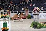WIHS3-10-31-10-Cl193-LocHtrFinals-Pny-0219-PumpkinPatch-TrinityHammerschmidt-DDeRosaPhoto.jpg