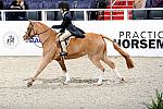 WIHS3-10-31-10-Cl193-LocHtrFinals-Pny-0221-PumpkinPatch-TrinityHammerschmidt-DDeRosaPhoto.jpg