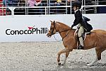 WIHS3-10-31-10-Cl193-LocHtrFinals-Pny-0227-PumpkinPatch-TrinityHammerschmidt-DDeRosaPhoto.jpg