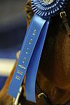 WIHS1-10-26-10-Cl43-RgWkgHndyHtr-8666-Rosalynn-DDeRosaPhoto.JPG