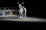 Dressage-WIHS2-10-29-10-6539-PamGoodrich-Lamborghini-DDeRosaPhoto.JPG