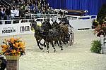 Driving-WIHS2-10-29-10-6602-ChesterWeber-DDeRosaPhoto.JPG