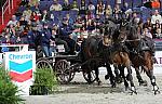 Driving-WIHS2-10-30-10-8677-DDeRosaPhoto.jpg