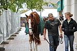 Outside-WIHS2-2010-WEG_0635-DDeRosaPhoto.JPG