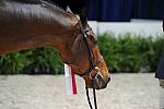 Presentations-WIHS-10-27-10-0740-DDeRosaPhoto.JPG