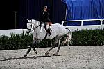 HasbrouckDonovan-WIHS2-10-30-10-Cl182-WIHSEqJpr-8328-Wagner-DDeRosaPhoto.JPG