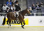 JohnFrench-WIHS-10-21-09-DSC_1629-SmallAffair-Sponsors-Nikon-DDeRosaPhoto.jpg