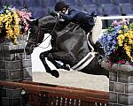 MadelineThatcher-WIHS2-10-28-10-2445-Mirasol-DDeRosaPhoto.JPG