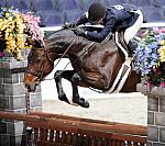 MadelineThatcher-WIHS2-10-28-10-2738-Francesca-DDeRosaPhoto.JPG