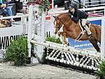 WIHS2-10-30-10-7047-EverLuvin-VictoriaColvin-DDeRosaPhoto.JPG