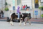 KidsDay-WIHS2-10-30-10-7357-KidsDay-DDeRosaPhoto.JPG