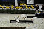 Terriers-WIHS2-10-30-10-8637-DDeRosaPhoto.JPG