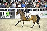KaitlinCampbell-RockyW-WIHS5-10-29-11-PresCup-1177--DDeRosaPhoto.JPG