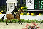 EliseLedsinger-Practical-WIHS-10-25-11-Cl187-AdAmHtrCH-8780--DDeRosaPhoto.JPG
