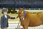 MadelineSchaefer-HiLite-WIHS6-10-30-11-Cl104-SmPnyHtrStk-2238-DDeRosaPhoto.JPG