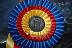 WIHS-10-23-09-DSC 0011-Awards-DDeRosaPhoto
