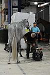 WIHS2-2010-WEG_0653-DDeRosaPhoto.jpg