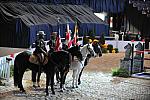 WIHS4-10-28-11-3888-DDeRosaPhoto.JPG