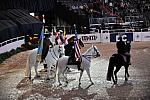 WIHS5-10-29-11-5370-DDeRosaPhoto.JPG