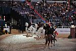 WIHS5-10-29-11-5379-DDeRosaPhoto.JPG