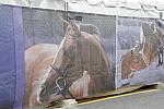 WIHS1-10-24-11-DSC_5908-DDeRosaPhoto.JPG