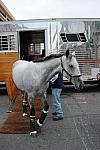 WIHS1-10-24-11-DSC_6006-DDeRosaPhoto.JPG