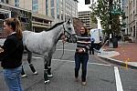 WIHS1-10-24-11-DSC_6009-DDeRosaPhoto.JPG