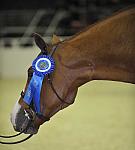 WIHS-0460-DDeRosaPhoto