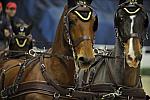 WIHS-4203-DDeRosaPhoto