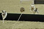 WIHS-8362-DDeRosaPhoto