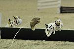 WIHS-8383-DDeRosaPhoto