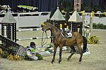 WIHS-10-27-11-Cl211-Gambler-5494-Dollar-AndrewKocher-DDeRosaPhoto.JPG