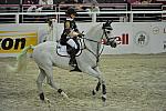 WIHS-10-27-11-Cl211-Gambler-5554-Gucci-EmilieMartinsen-DDeRosaPhoto.JPG