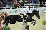 WIHS-10-27-11-Cl211-Gambler-5718-Annie66-MarkLeone-DDeRosaPhoto.JPG