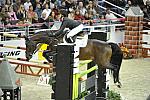 WIHS5-10-29-11-PresCup-1144-NiceDePrissey-BrianneGoutal-DDeRosaPhoto