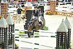 WIHS5-10-29-11-PresCup-1164-NiceDePrissey-BrianneGoutal-DDeRosaPhoto