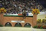 Donnatello-AndrewKocher-WIHS4-10-28-11-Puissance-8577-DDeRosaPhoto.JPG