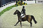 Donnatello-AndrewKocher-WIHS4-10-28-11-Puissance-8584-DDeRosaPhoto.JPG