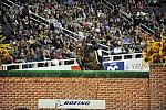 Sweetheart-ToddMinikus-WIHS4-10-28-11-Puissance-4389-DDeRosaPhoto.JPG