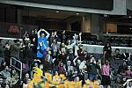 WIHS-10-27-11-BarnNight-2984-DDeRosaPhoto.JPG