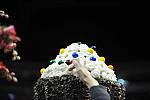 WIHS-10-27-11-BarnNight-3198-DDeRosaPhoto.JPG