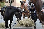 WIHS2-10-26-11-Breakfast-Police-0732-DDeRosaPhoto.JPG