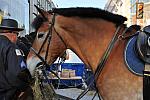 WIHS2-10-26-11-Breakfast-Police-0750-DDeRosaPhoto.JPG