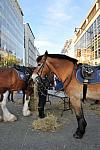 WIHS2-10-26-11-Breakfast-Police-0753-DDeRosaPhoto.JPG