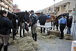 WIHS2-10-26-11-Breakfast-Police-8976-DDeRosaPhoto.JPG
