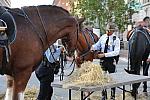 WIHS2-10-26-11-Breakfast-Police-9079-DDeRosaPhoto.JPG