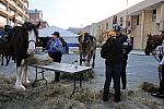 WIHS2-10-26-11-Breakfast-Police-9085-DDeRosaPhoto.JPG