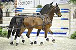 WIHS4-10-28-11-ChesterWeber-1004-DDeRosaPhoto.JPG