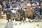 WIHS4-10-28-11-ChesterWeber-1007-DDeRosaPhoto.JPG